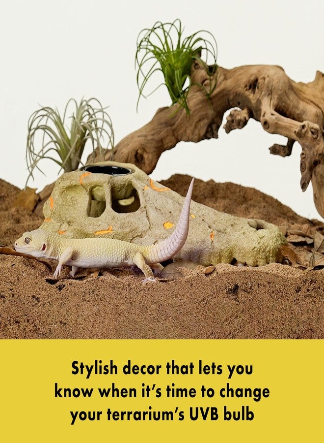 زيلا ديكور حوض الزواحف Zilla Rapid Sense UV Detecting Pet Reptile Terrarium، يكشف مستويات الأشعة فوق البنفسجية UVB، جمجمة تمساح، متوسط الحجم - Image 3